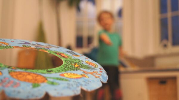 myRoodi - my Room Disc - indoor frisbee uit karton